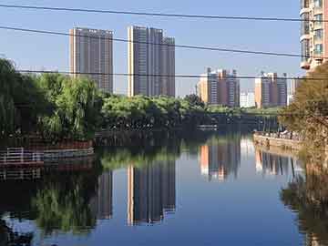 浙江95号汽油最新价格，市场波动与消费者应对策略